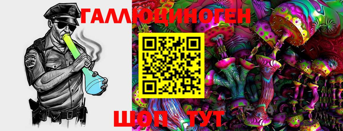 Псилоцибиновые грибы мицелий Сунжа